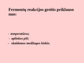 Fermentai. Virškinimo ypatumai  8 puslapis