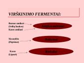 Fermentai. Virškinimo ypatumai  9 puslapis