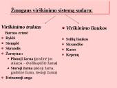 Fermentai. Virškinimo ypatumai  10 puslapis
