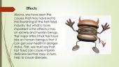 Fast food causes and effects 7 puslapis