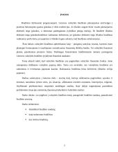 Valstybės biudžetas ir jo formavimo principai 2004–2007 metais 2 puslapis