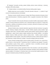 Valstybės biudžetas ir jo formavimo principai 2004–2007 metais 14 puslapis