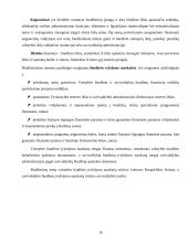 Valstybės biudžetas ir jo formavimo principai 2004–2007 metais 16 puslapis