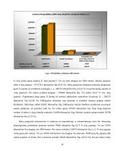 Valstybės biudžetas ir jo formavimo principai 2004–2007 metais 19 puslapis