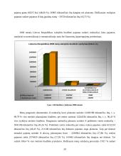 Valstybės biudžetas ir jo formavimo principai 2004–2007 metais 20 puslapis