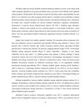 Valstybės biudžetas ir jo formavimo principai 2004–2007 metais 4 puslapis