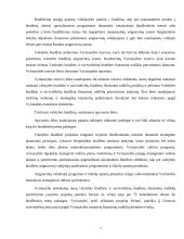 Valstybės biudžetas ir jo formavimo principai 2004–2007 metais 7 puslapis