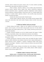 Valstybės biudžeto sandara 11 puslapis