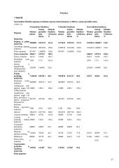 Valstybės biudžeto sandara 17 puslapis