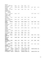 Valstybės biudžeto sandara 20 puslapis