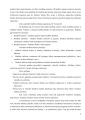 Valstybės biudžeto sandara 9 puslapis