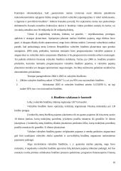 Valstybės biudžeto sandara 10 puslapis