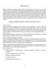 Daugkartinių krepšelių verslas: aprašas 2 puslapis