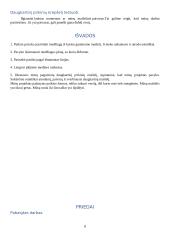 Daugkartinių krepšelių verslas: aprašas 6 puslapis