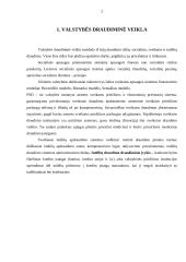 Valstybės draudiminė veikla 2 puslapis