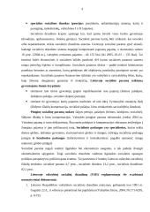 Valstybės draudiminė veikla 4 puslapis