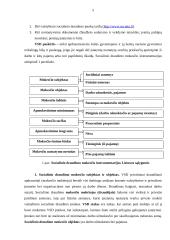Valstybės draudiminė veikla 5 puslapis