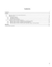 Valstybės finansai bei mokesčiai 2 puslapis