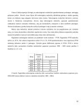 Valstybės finansai bei mokesčiai 13 puslapis