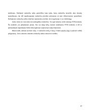 Valstybės finansai bei mokesčiai 17 puslapis