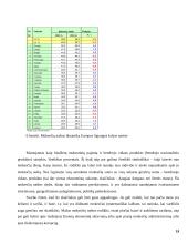 Valstybės finansai bei mokesčiai 19 puslapis