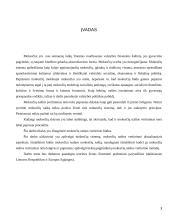 Valstybės finansai bei mokesčiai 3 puslapis