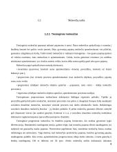 Valstybės finansai bei mokesčiai 8 puslapis