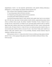 Valstybės finansai bei mokesčiai 9 puslapis