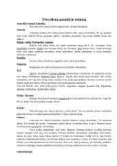 Kalendorinės šventės referatas 3 puslapis