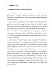 Valstybės ir rinkos vaidmuo Lietuvos ekonomikoje 3 puslapis