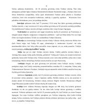 Valstybės kandidatės į Europos Sąjungą (ES) 10 puslapis