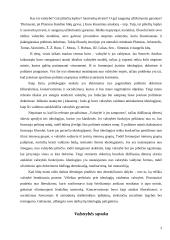 Valstybės sampratos ir funkcijos įvairiose politinėse doktrinose 3 puslapis