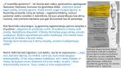 Ką reiškia būti nereikalingam? Kaip gyventi be namų ir artimųjų? 5 puslapis