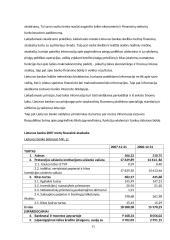 Valstybės vaidmens finansų sektoriuje Lietuvoje ir Šveicarijoje palyginimas 11 puslapis