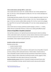 Valstybės vaidmens finansų sektoriuje Lietuvoje ir Šveicarijoje palyginimas 13 puslapis