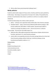 Valstybės vaidmens finansų sektoriuje Lietuvoje ir Šveicarijoje palyginimas 5 puslapis