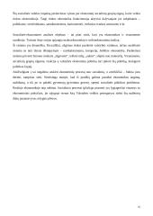 Valstybės vaidmuo ir funkcijos šiuolaikinėje rinkos ekonomikoje 16 puslapis