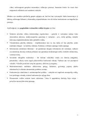 Valstybės vaidmuo ir funkcijos šiuolaikinėje rinkos ekonomikoje 4 puslapis