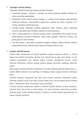 Valstybės vaidmuo ir funkcijos šiuolaikinėje rinkos ekonomikoje 6 puslapis