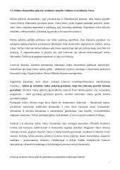 Valstybės vaidmuo ir funkcijos šiuolaikinėje rinkos ekonomikoje 7 puslapis