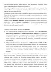 Valstybės vaidmuo ir funkcijos šiuolaikinėje rinkos ekonomikoje 9 puslapis