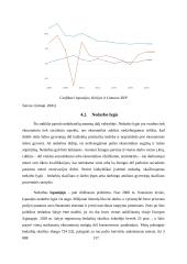 Darnus vystymasis 12 puslapis