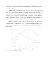 Darnus vystymasis 13 puslapis