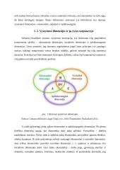 Darnus vystymasis 5 puslapis