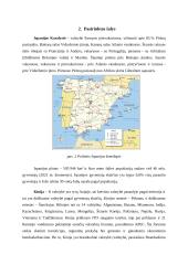 Darnus vystymasis 7 puslapis