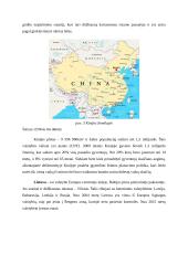 Darnus vystymasis 8 puslapis