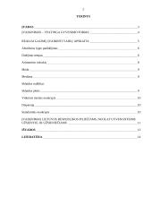 Valstybės vaiko teisių  apsaugos ir įvaikinimo tarnybos įvaikinimo statistiniai duomenys 2 puslapis