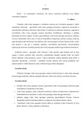 Valstybės vaiko teisių  apsaugos ir įvaikinimo tarnybos įvaikinimo statistiniai duomenys 3 puslapis