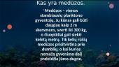 Kas yra medūzos 2 puslapis