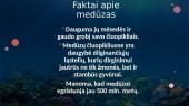 Kas yra medūzos 3 puslapis